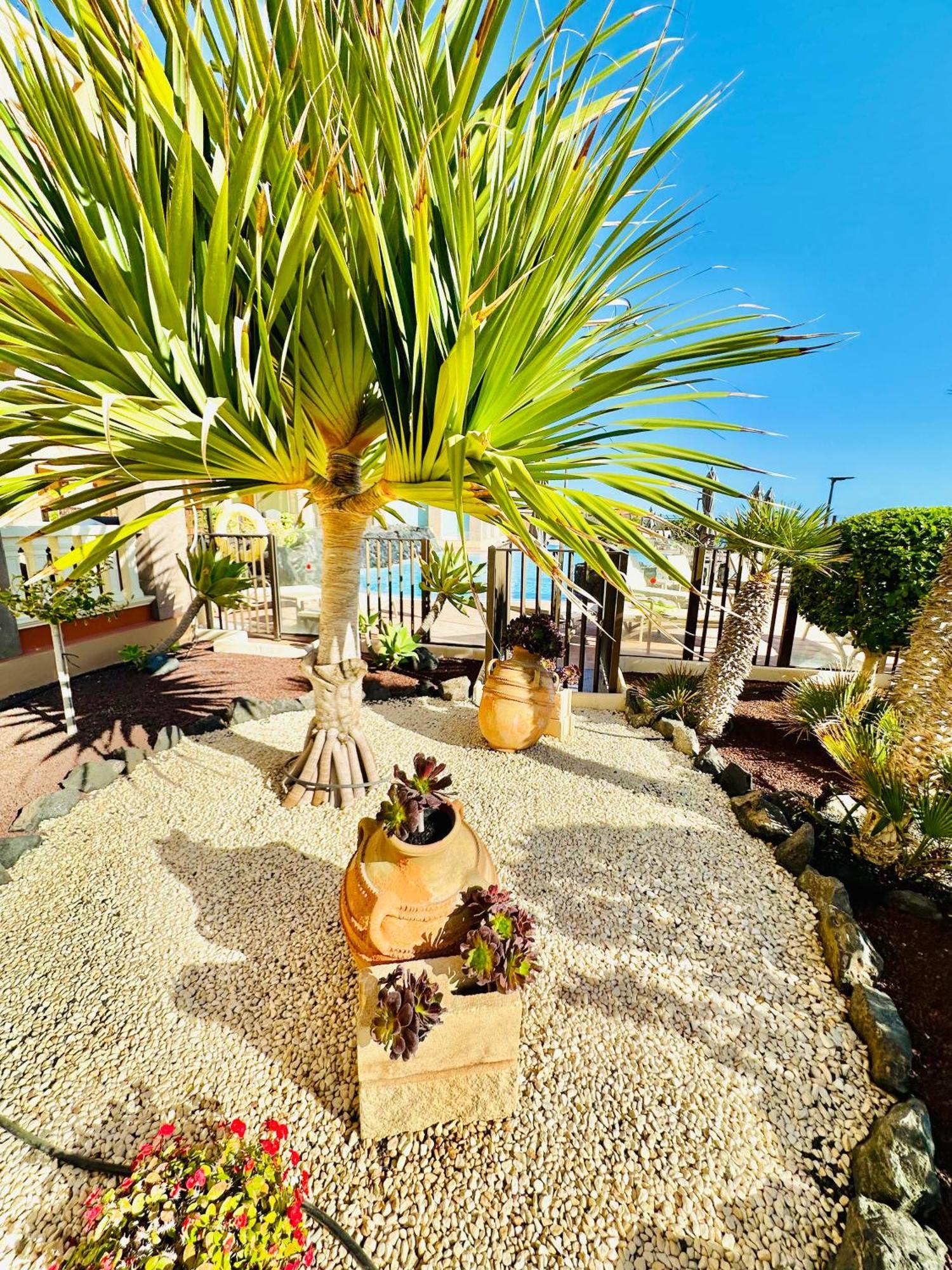 El Nautico Apartment San Miguel de Abona Eksteriør billede