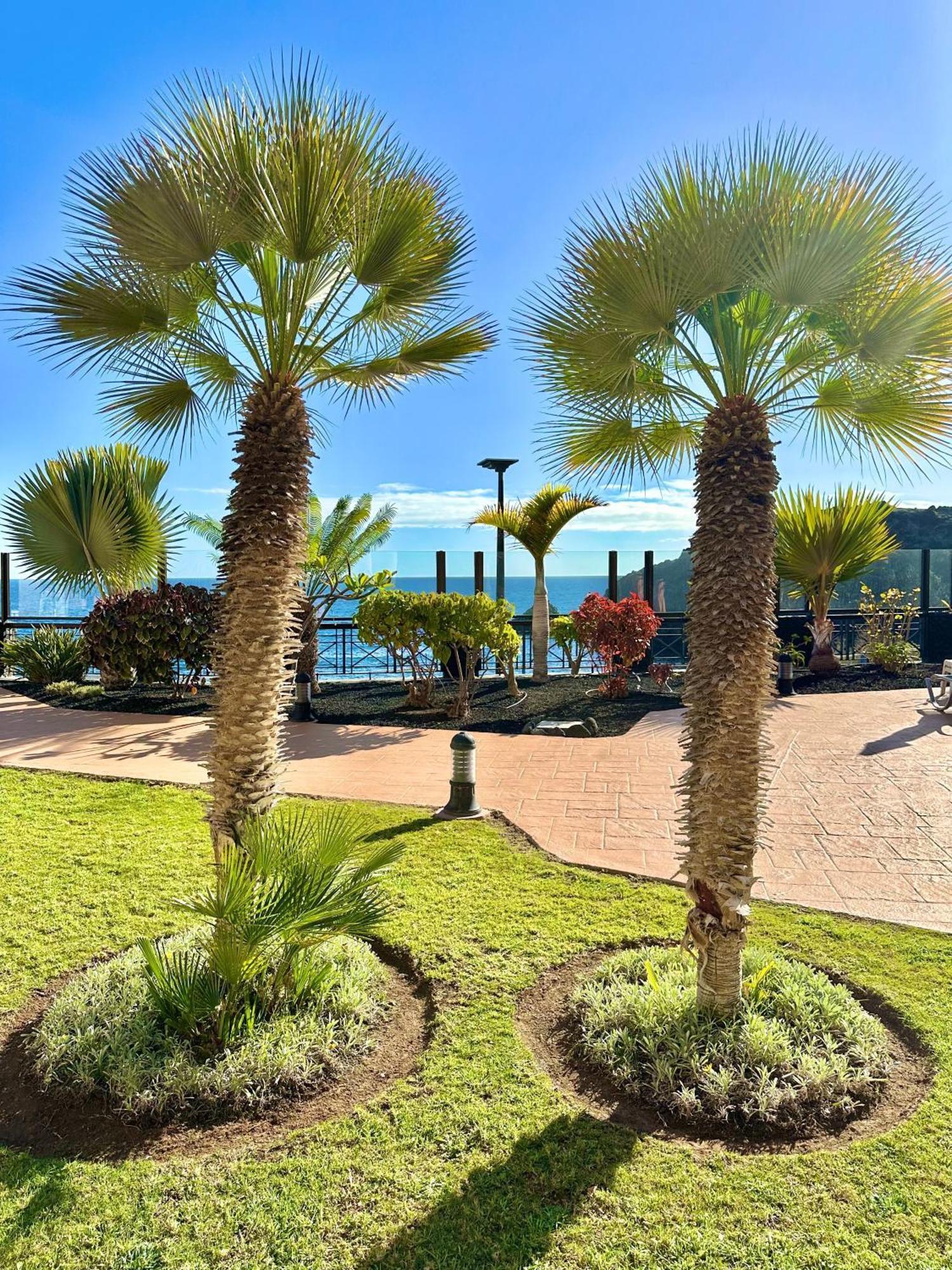 El Nautico Apartment San Miguel de Abona Eksteriør billede